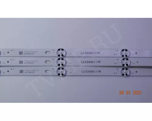 LC4349117A 