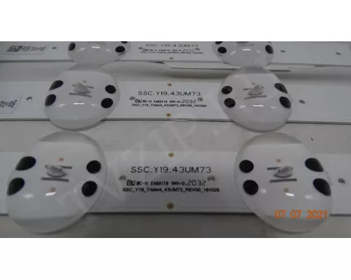 SSC_Y19_TRIDENT_43UM73_REV00_181029