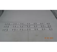 SSC_Y19_TRIDENT_43UM73_REV00_181029