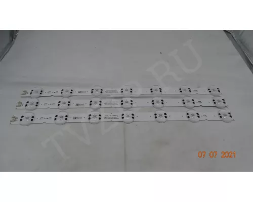 SSC_Y19_TRIDENT_43UM73_REV00_181029