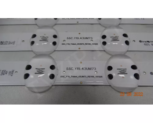 SSC_Y19_TRIDENT_43UM73_REV00_181029