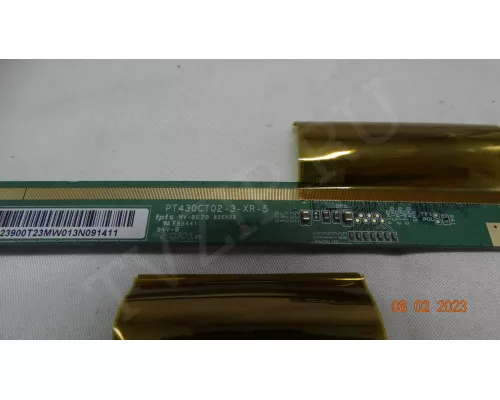 PT430CT02-3-XR-5 PT430CT02-3-XL-5 PT430CT02-3-XR-5 PT430CT02-3-XL-5