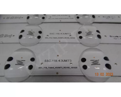 SSC_Y19_TRIDENT_43UM73_REV00_181029