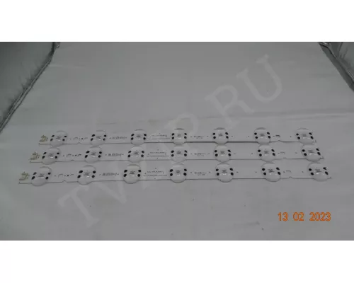 SSC_Y19_TRIDENT_43UM73_REV00_181029