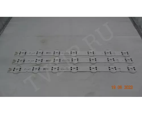 SSC_Y19_TRIDENT_43UM73_REV00_181029