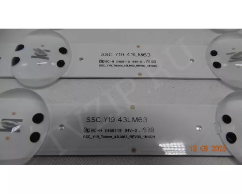 SSC_Y19_TRIDENT_43LM63_REV00_181029