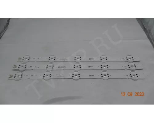 SSC_Y19_TRIDENT_43LM63_REV00_181029