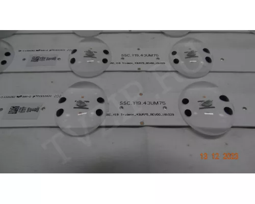 SSC_Y19 TRIDENT_43UM75_REV00_181029