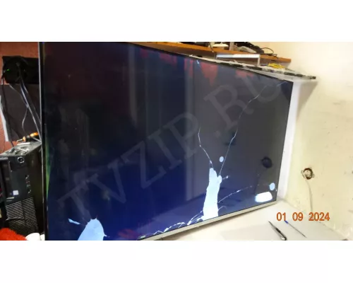 DCBDP-C260A_19 P2 MANYA 55MU03SS