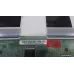 PT500GT01-4-C-1 LG 50UN81006LB 