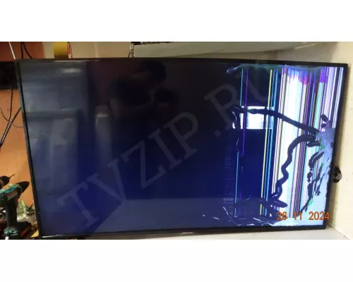 Динамики 19SP50901008Y3 POLARLINE 50PL53TC