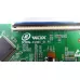 DCBDM-X296C_01 P1 MANYA 50MU03GS
