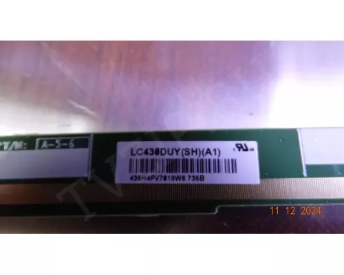 Динамики LN YX1823030-8NXFH DEXP F43D8000K