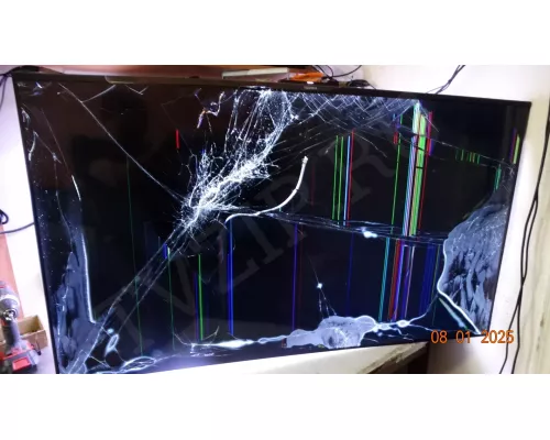 Динамики 42-WX415-X6GX1HX XIAOMI L55MA-ARU