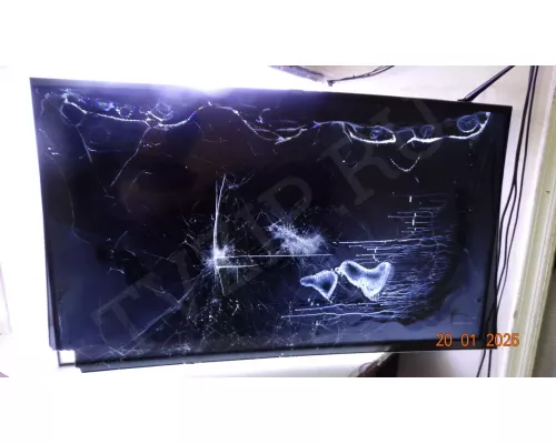 Динамики TASSJ 220721 HAIER 50 SMART TV DX2