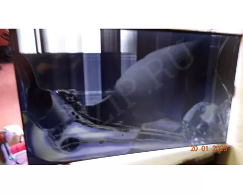 Динамики TREFAN 24H085A5 HISENSE 55A6N