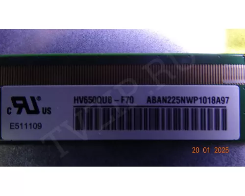 Динамики 22F102C2 22F103A1 HISENSE 65A6BG