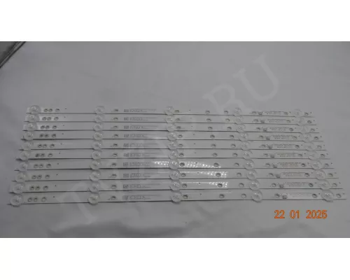 MS-L2190 V1 POLAR P50L32T2CSM