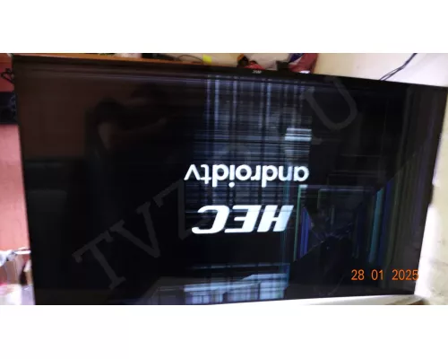 Динамики TASSJ 211210 HEC R1 55 S 4K