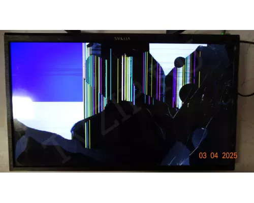 Динамики Б/Н ВИТЯЗЬ 24LH0201