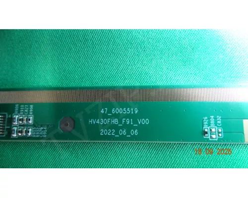 47-6005519 VR 43VF13BS