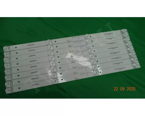 MS-L2006 V1 DEXP U50E9000Q