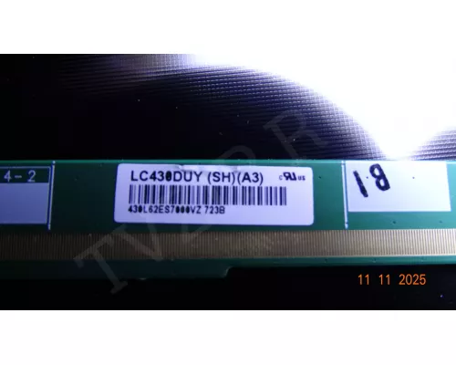 MSD3663-T8C1 PANASONIC TX-43FR250