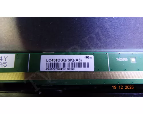 Динамики PD-1904026 PHILIPS 43PFS5034/60