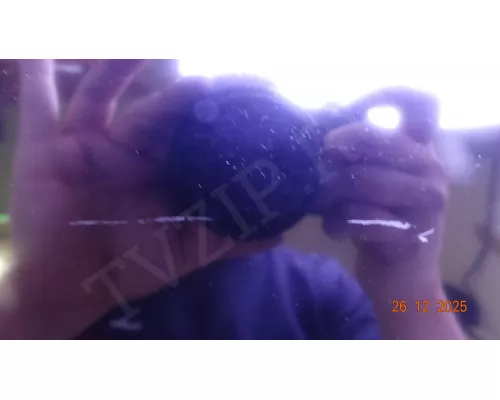 Матрица V290BJ1-PE1 REV.C2 в сборе с LED подсветкой BBK LEM2993