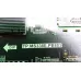 TP.MS338E.PB803 POLAR P39L21T2CSM