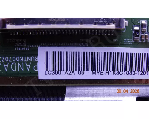 TP.MS338E.PB803 POLAR P39L21T2CSM