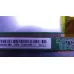 MB-M9256-PW-BL RAZZ C43FSS24F