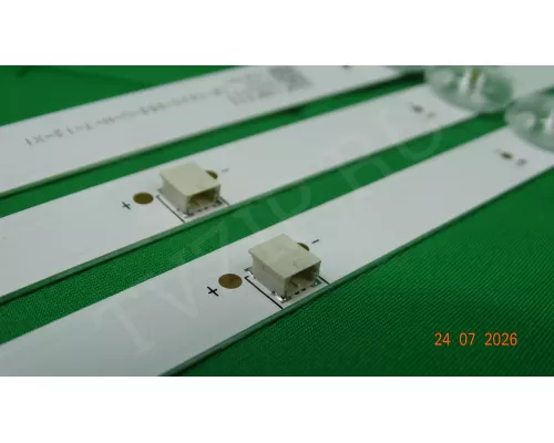JL.D43071330-002FS-M_V01 RAZZ C43FSS24F