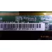 P65-59S V6.1 IZUMI TLE32H104B